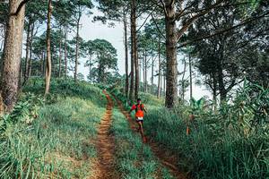 BIB: 
                            <button type="button" onclick="openModal(25652578)" class="btn btn-primary btn-sm float-right btn-popup" data-toggle="modal" data-target=".modal-high-quality">
                        <i class="fas fa-shopping-cart"></i> Add to Cart
                    </button>
                                            <button type="button" onclick="isThisMe(25652578, true)" class="btn btn-success btn-sm float-right btn-popup btn-isme hidden" data-toggle="tooltip" data-placement="bottom" title="นี่คือรูปของคุณใช่ไหม คลิกที่นี่เพื่อเอาเข้าอัลบั้ม">
                        <i class="fas fa-plus"></i> Add to album
                    </button>
                    <button type="button" onclick="isThisMe(25652578, false)" class="btn btn-warning btn-sm float-right btn-popup btn-isnotme hidden">
                        <i class="fas fa-ban"></i> Remove from album
                    </button>